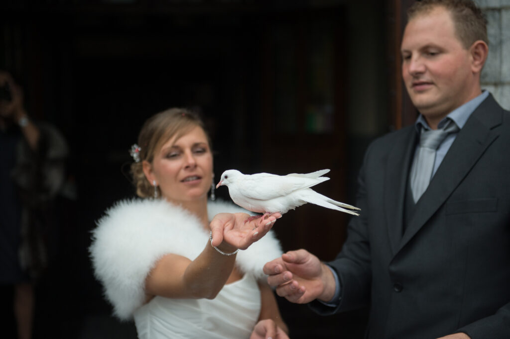 Anthony Lemoine Photographe