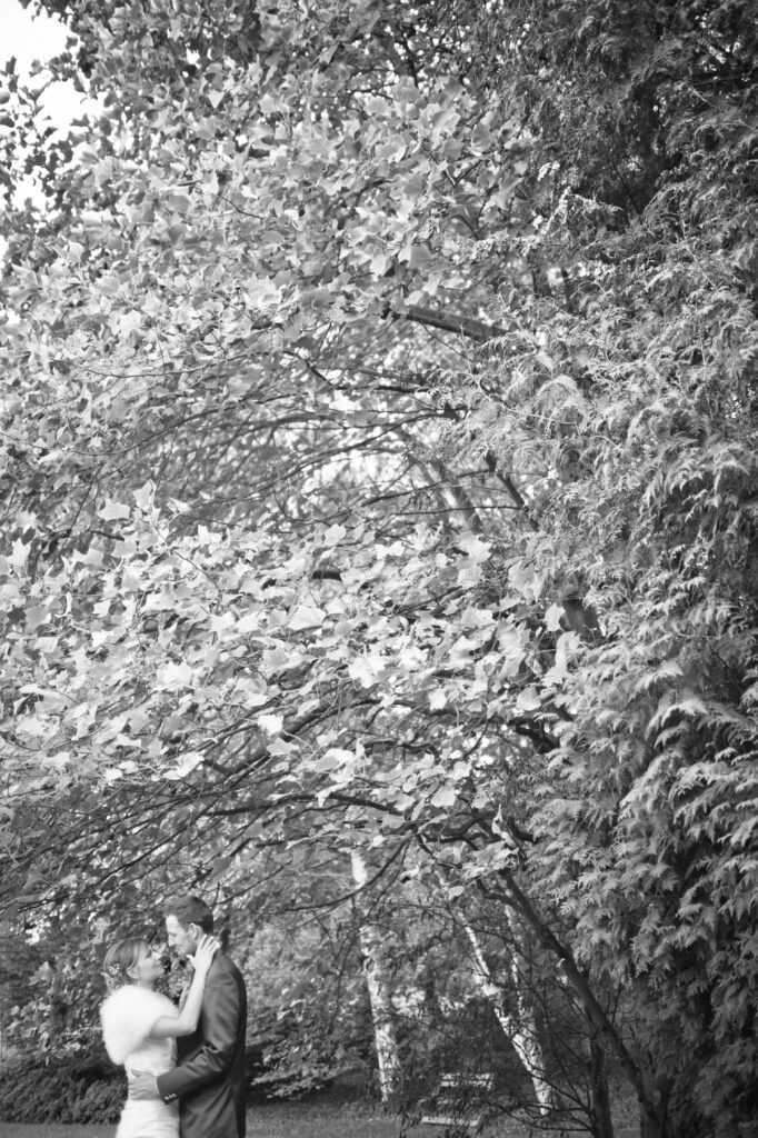 Anthony Lemoine Photographe