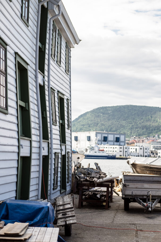 Anthony Lemoine Photographe