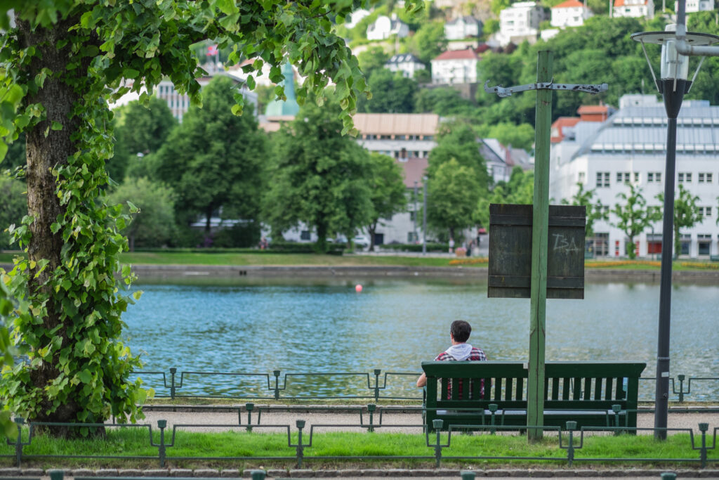 Anthony Lemoine Photographe