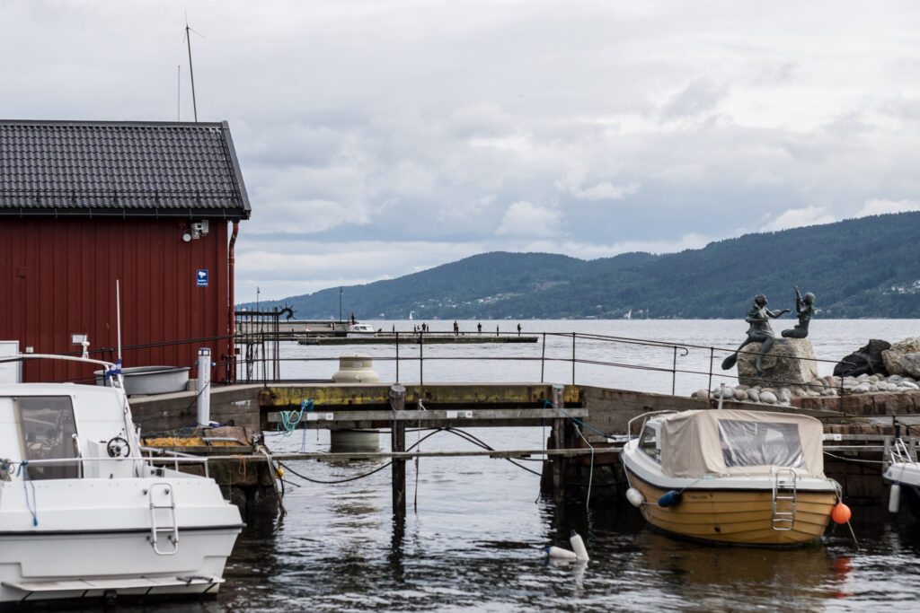 Anthony Lemoine Photographe