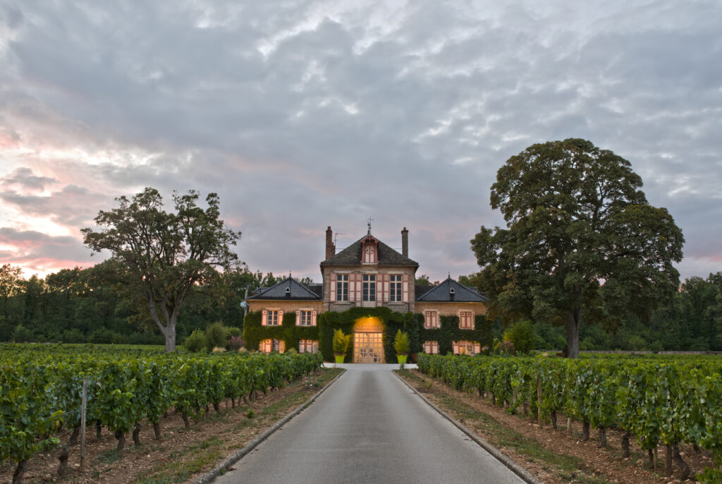 Anthony Lemoine Photographe