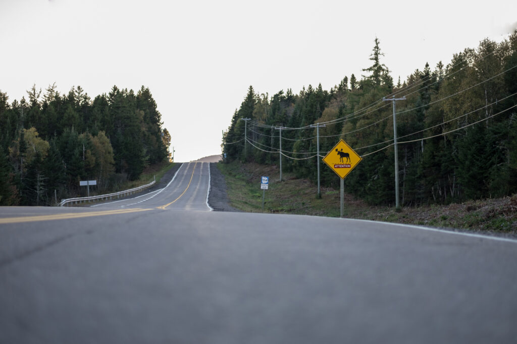 Anthony Lemoine Photographe