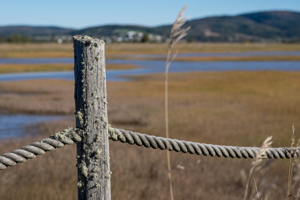 Anthony Lemoine Photographe