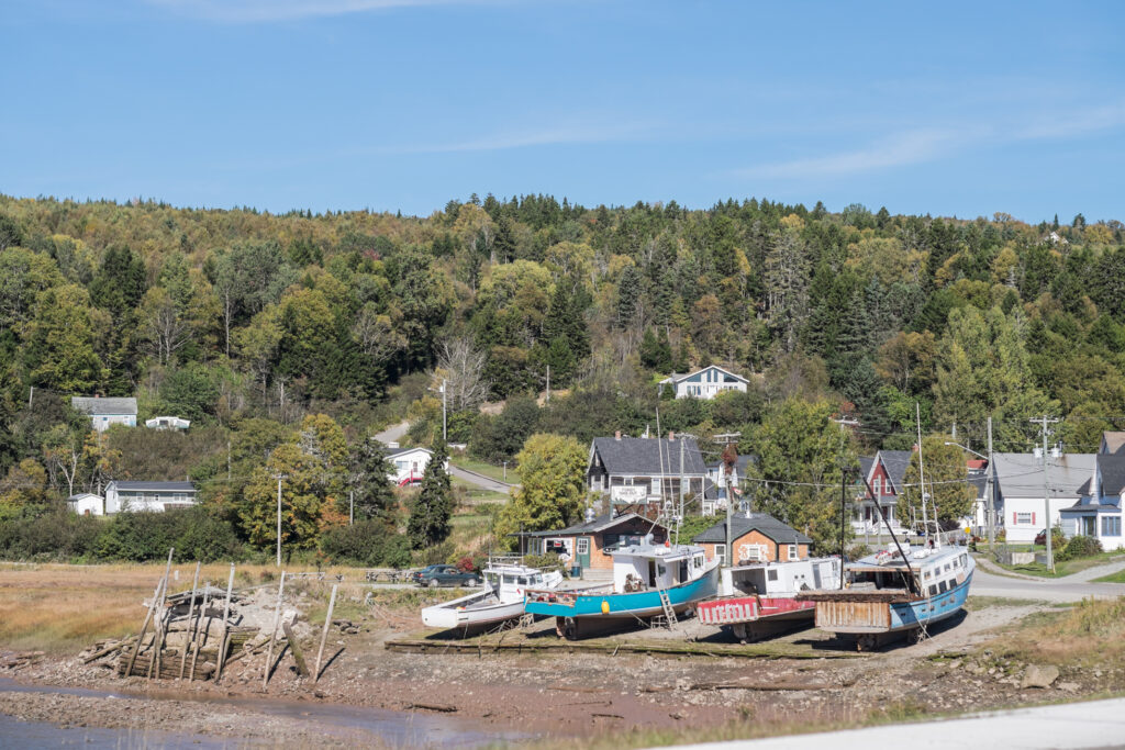 Anthony Lemoine Photographe