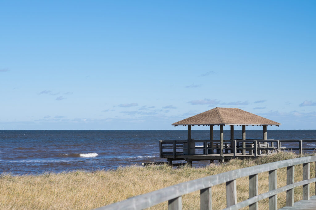 Anthony Lemoine Photographe