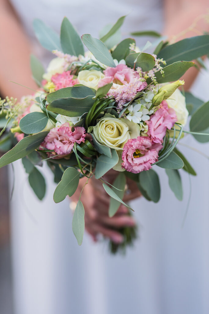 Anthony Lemoine Photographe