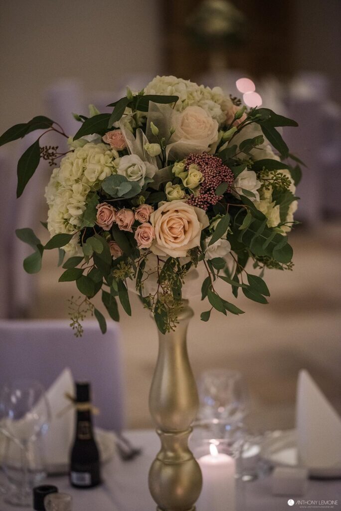 Anthony Lemoine Photographe