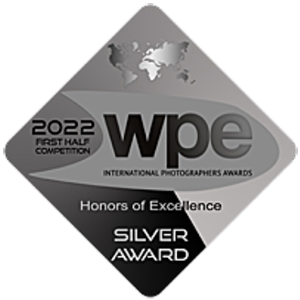 WPE 2022, Silver Award