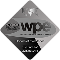 WPE 2023, Silver Award