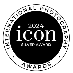 Icon Awards 2024, Silver Award