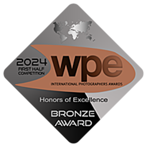 WPE 2024, Bronze Award