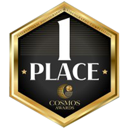 Cosmos Awards, 1st Place