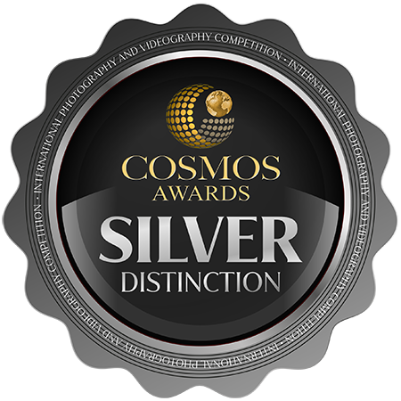 Cosmos Awards, Silver Distinction