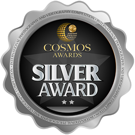 Cosmos Awards, Silver Award