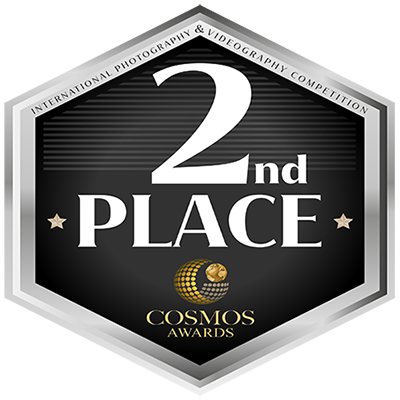 Cosmos Awards, 2nd Place